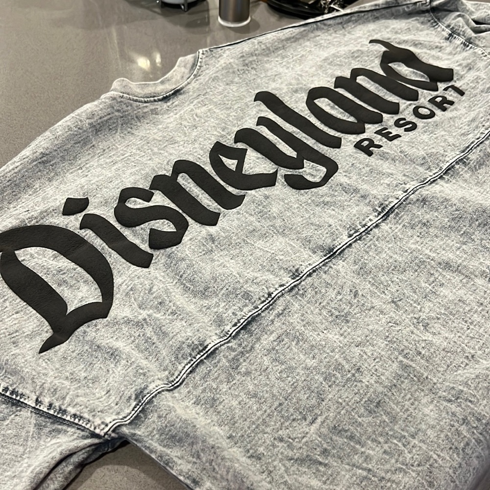 Disneyland Spirit Jersey
